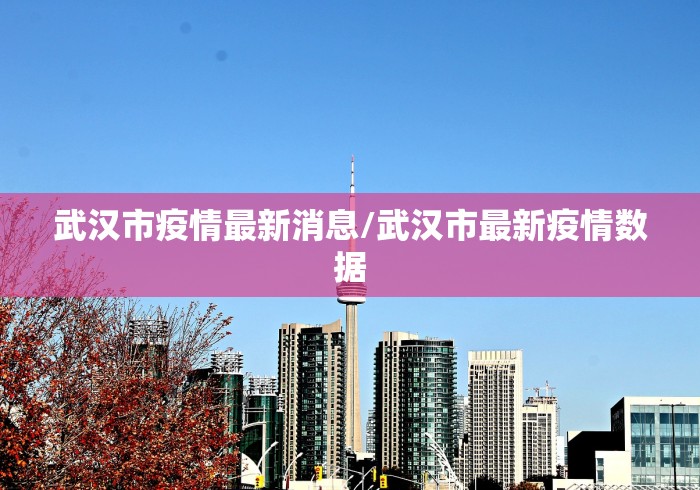 武汉市疫情最新消息/武汉市最新疫情数据