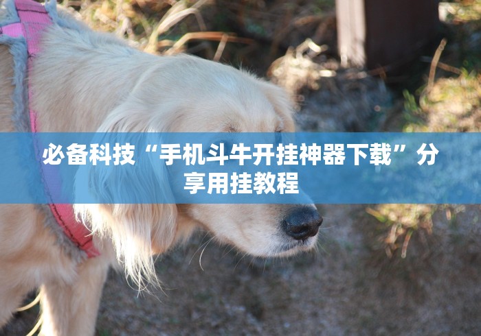 宁夏回族自治区最新疫情名单（宁夏回族自治区新冠肺炎最新消息）