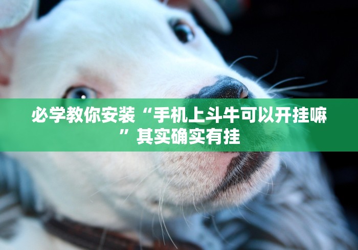必学教你安装“手机上斗牛可以开挂嘛”其实确实有挂