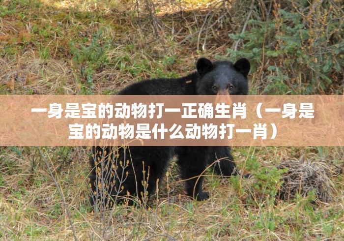 房卡秒懂“超稳无敌金花房间卡怎么弄”详细房卡教程
