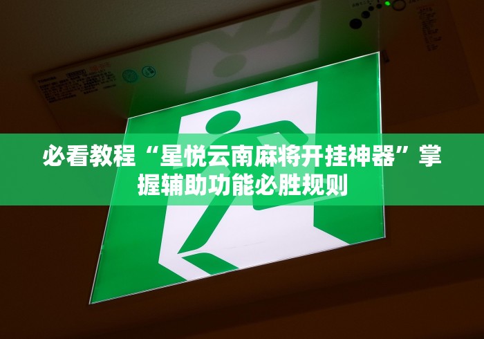 必看教程“星悦云南麻将开挂神器”掌握辅助功能必胜规则
