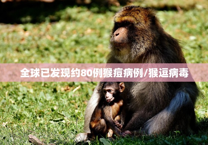【广东新增确诊1102例/广东新增2例本土确诊 8例无症状】 【广东新增确诊1102例/广东新增2例本土确诊 8例无症状】