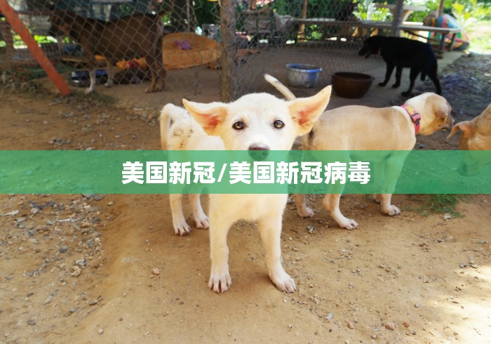 玩家必知“云南魅力大厅金花房间卡怎么弄”房卡详细充值 玩家必知“云南魅力大厅金花房间卡怎么弄”房卡详细充值