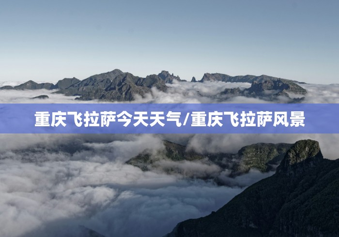 浙江省政府出台疫情政策(浙江省政府疫情通知) 浙江省政府出台疫情政策(浙江省政府疫情通知)