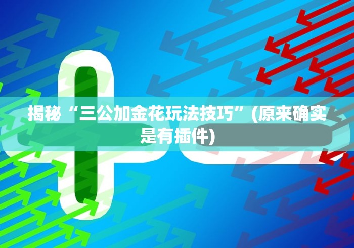 揭秘“三公加金花玩法技巧”(原来确实是有插件) 揭秘“三公加金花玩法技巧”(原来确实是有插件)