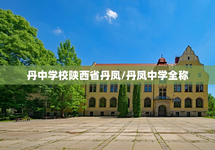 丹中学校陕西省丹凤/丹凤中学全称 丹中学校陕西省丹凤/丹凤中学全称