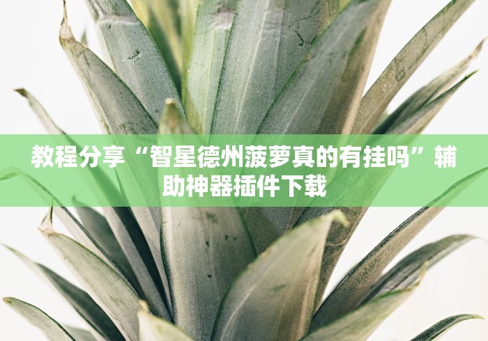 一分钟介绍使用“微信金花在哪买房间卡”获取房卡教程-哔哩哔哩