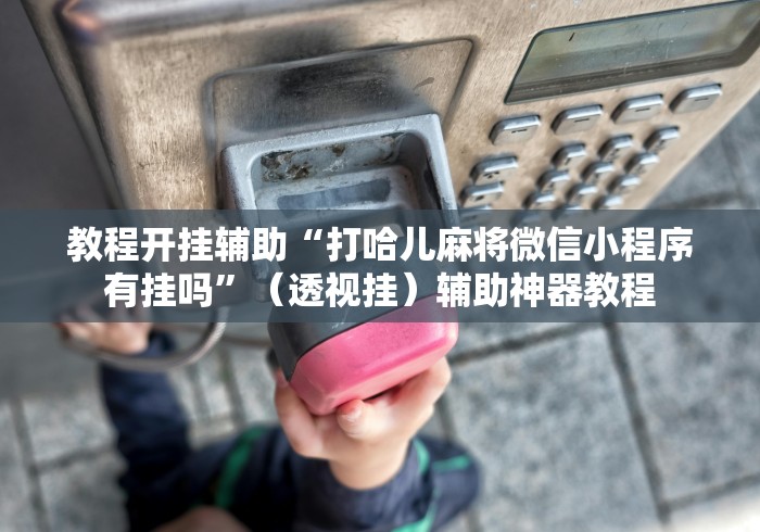 一分钟介绍使用“微信金花在哪买房间卡”获取房卡教程-哔哩哔哩