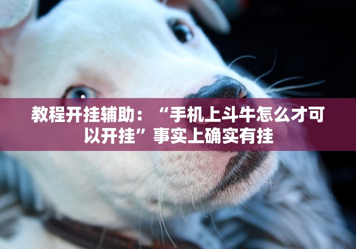 秒懂百科“微信牛牛链接房卡多少钱一张”房卡怎么购买 秒懂百科“微信牛牛链接房卡多少钱一张”房卡怎么购买