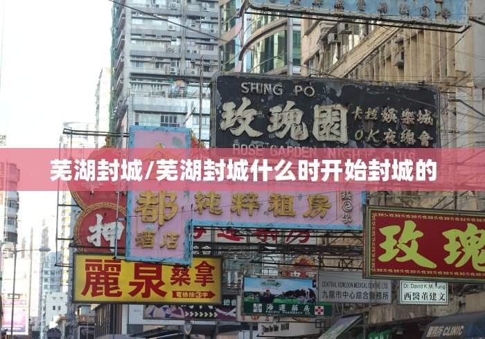 芜湖封城/芜湖封城什么时开始封城的 芜湖封城/芜湖封城什么时开始封城的