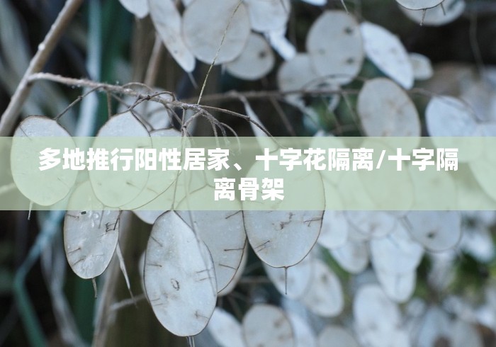 给大家讲解“精卫大厅怎么买房间卡科技”房卡怎么购买