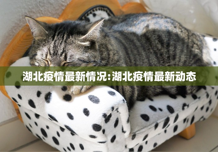 湖北疫情最新情况:湖北疫情最新动态