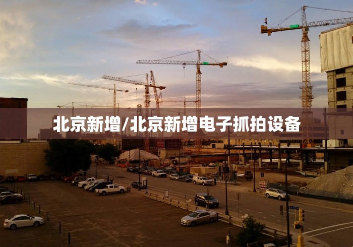 【山东支援重庆名单,山东对口支援重庆】