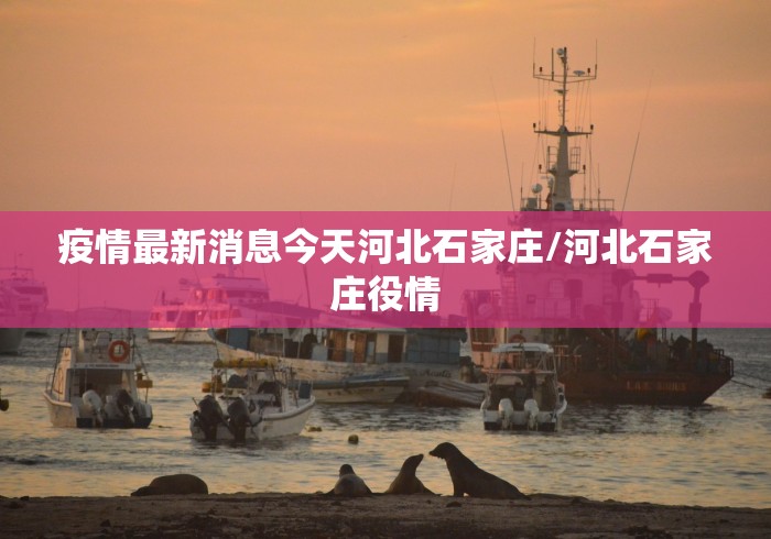 北京24小时新增39例感染者(北京24小时实时查询) 北京24小时新增39例感染者(北京24小时实时查询)