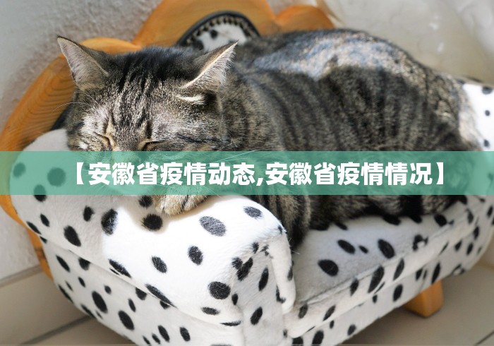 【安徽省疫情动态,安徽省疫情情况】