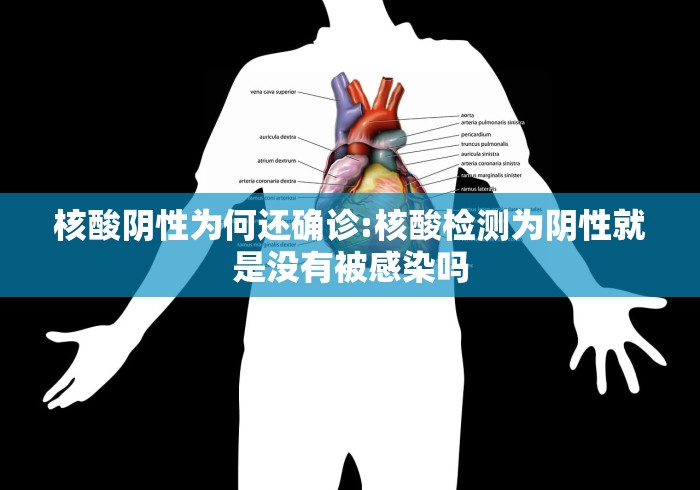 2026玩家爆料“新冰河透视开挂神器”获取房卡教程-哔哩哔哩 2026玩家爆料“新冰河透视开挂神器”获取房卡教程-哔哩哔哩