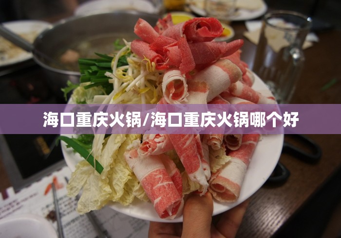 海口重庆火锅/海口重庆火锅哪个好