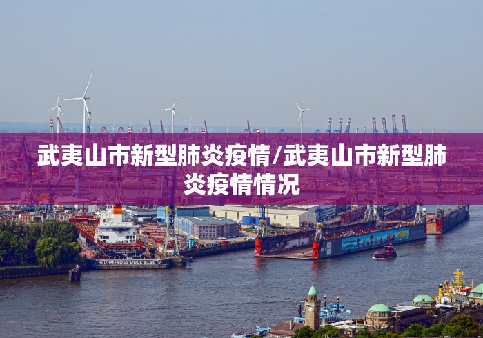 武夷山市新型肺炎疫情/武夷山市新型肺炎疫情情况 武夷山市新型肺炎疫情/武夷山市新型肺炎疫情情况