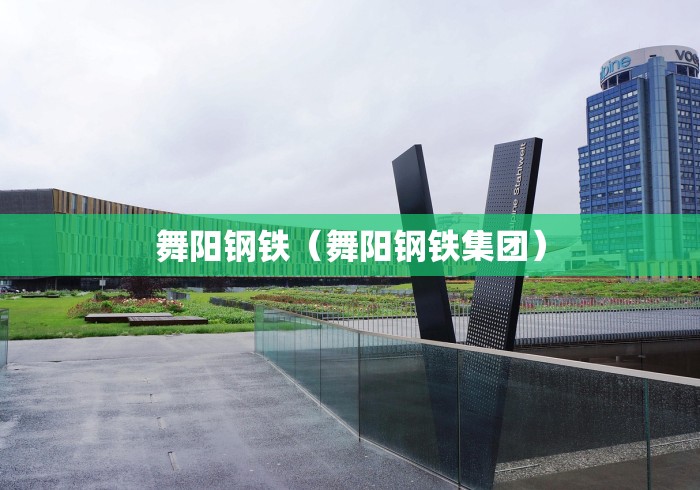 舞阳钢铁（舞阳钢铁集团）