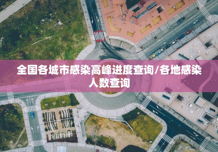 全国各城市感染高峰进度查询/各地感染人数查询