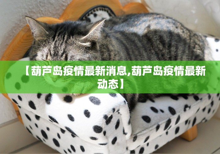 【葫芦岛疫情最新消息,葫芦岛疫情最新动态】