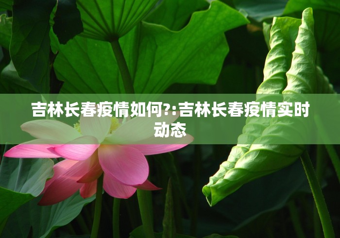 【黑龙江哈尔滨新增10例本土确诊/哈尔滨新增本土确诊病例5例行程】