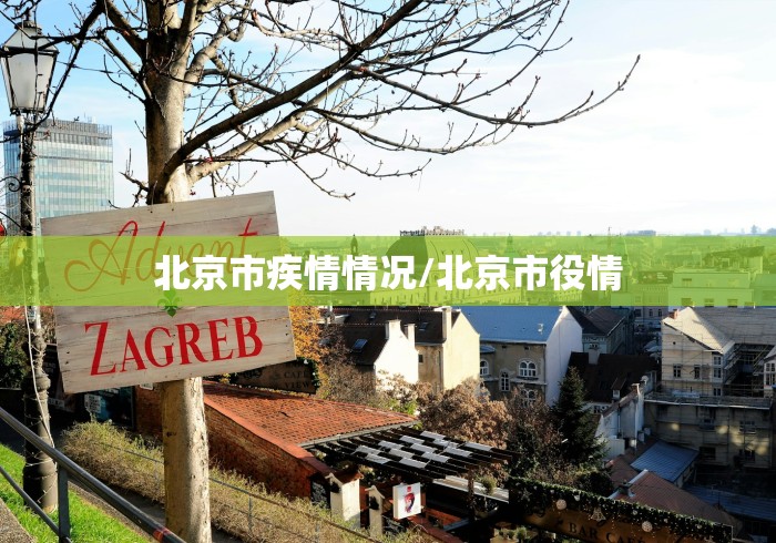 【南京:共发现17例阳性患者,南京现17例新冠阳性】 【南京:共发现17例阳性患者,南京现17例新冠阳性】