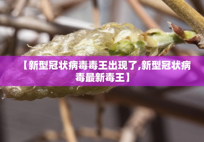 31省份新增本土确诊55例河南33例/河南省新增本土确诊病例41例