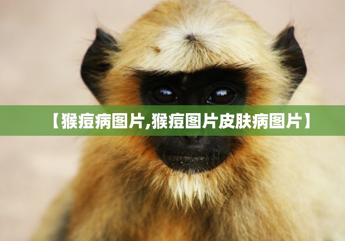 cf遁地挂下载(穿越火线did辅助) cf遁地挂下载(穿越火线did辅助)