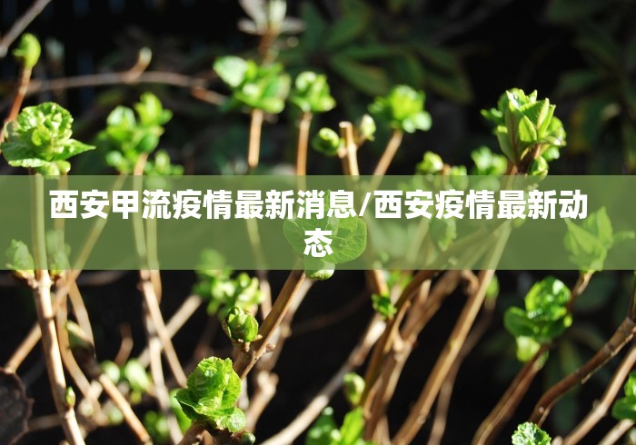 【河北石家庄疫情源头/石家庄疫情那年开始的】 【河北石家庄疫情源头/石家庄疫情那年开始的】