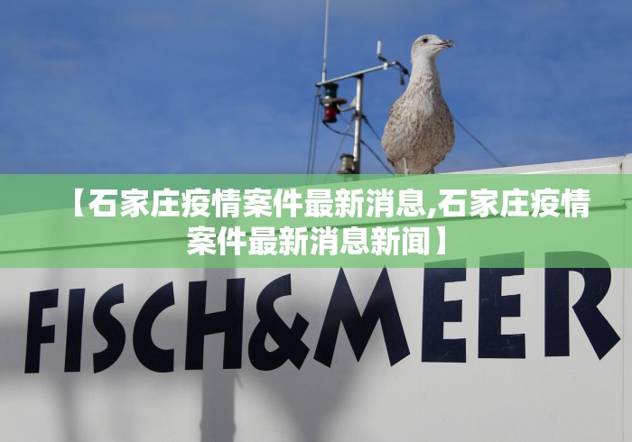 2026玩家爆料“美猴王牛牛房间卡”详细房卡怎么购买教程