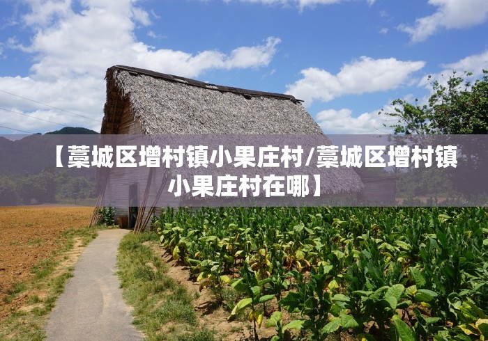 房卡秒懂“微信群炸 金花房卡哪里买”在哪里获取房卡充值教程