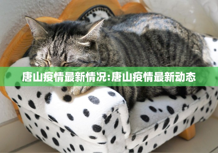 【康定市确诊病例,康定发现一例】 【康定市确诊病例,康定发现一例】
