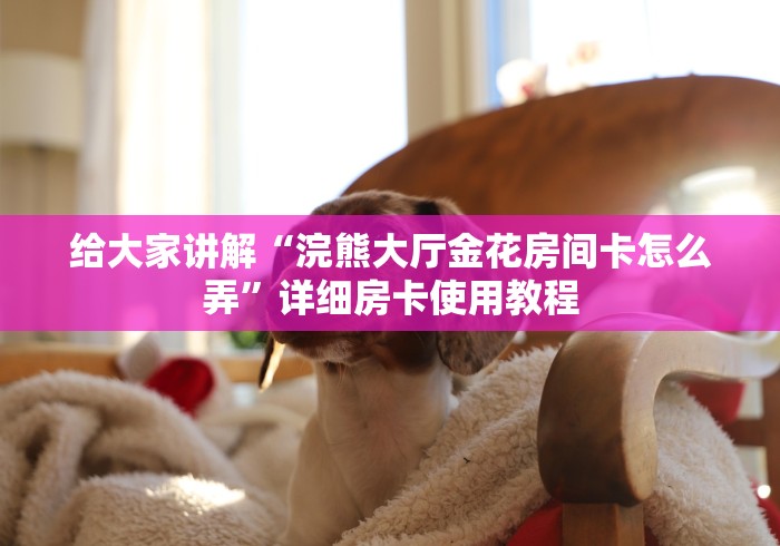 玩家必知“天狗大厅怎么买房间卡科技”房卡获取方式 玩家必知“天狗大厅怎么买房间卡科技”房卡获取方式
