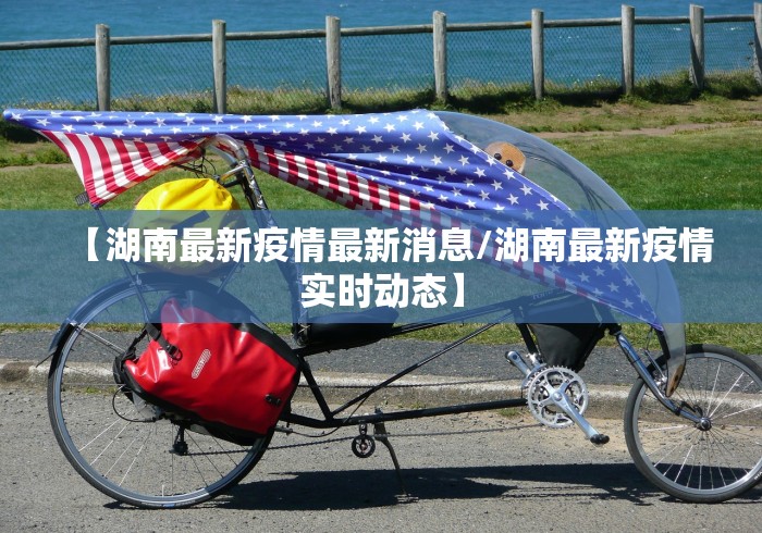北京疫情最新今天/北京疫情最新数据统计今天