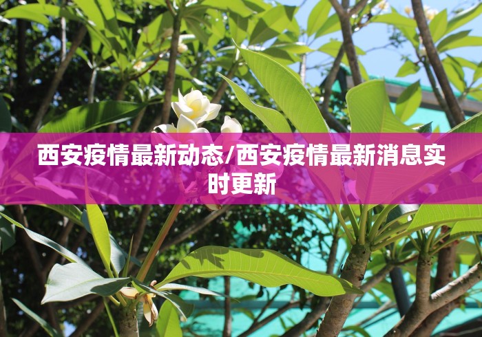 玩家必知“最新人海牛牛怎么买房卡”房卡详细充值 玩家必知“最新人海牛牛怎么买房卡”房卡详细充值