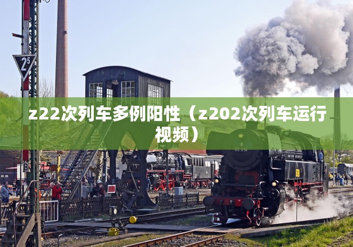 z22次列车多例阳性(z202次列车运行视频) z22次列车多例阳性(z202次列车运行视频)