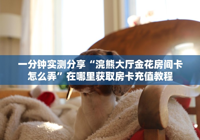 房卡全攻略“新众乐大厅牛牛房卡”详细房卡教程