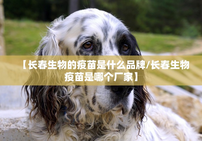 【长春生物的疫苗是什么品牌/长春生物疫苗是哪个厂家】 【长春生物的疫苗是什么品牌/长春生物疫苗是哪个厂家】