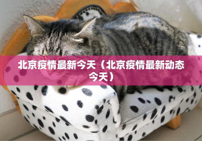 房卡必备教程“最新新鸿运牛牛 怎么买房卡”详细房卡怎么购买教程 房卡必备教程“最新新鸿运牛牛 怎么买房卡”详细房卡怎么购买教程