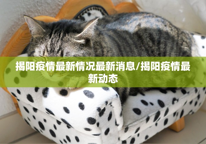 【宁安防疫情况,宁安防疫情况最新】