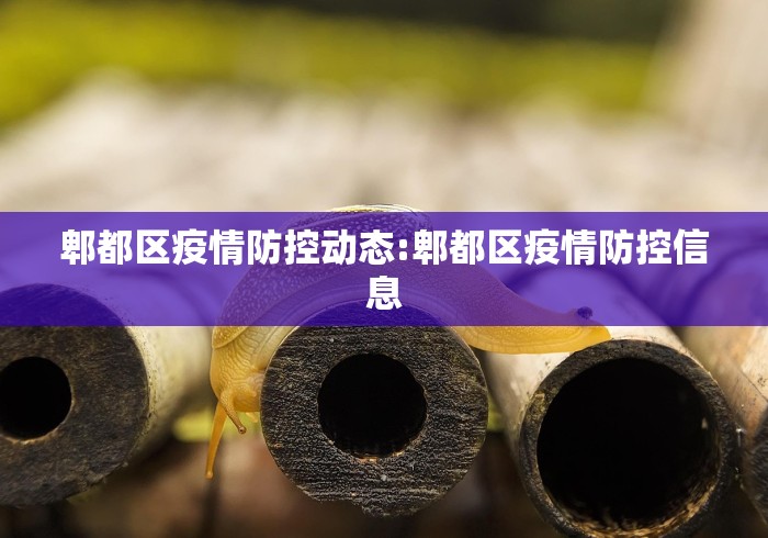 【31省区市新增确诊36例/31省区市新增确诊病例26例】