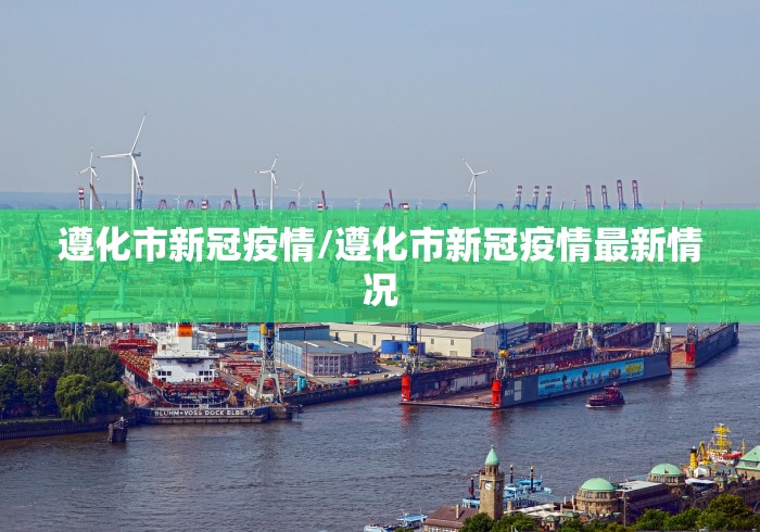 全国疫情高峰感染高峰进度查询:疫情高发地区查询