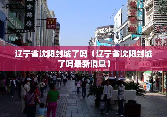 辽宁省沈阳封城了吗(辽宁省沈阳封城了吗最新消息) 辽宁省沈阳封城了吗(辽宁省沈阳封城了吗最新消息)