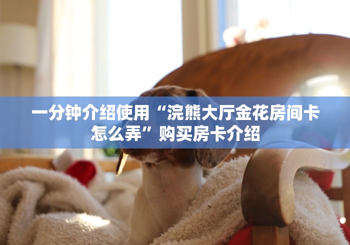一分钟介绍使用“浣熊大厅金花房间卡怎么弄”购买房卡介绍 一分钟介绍使用“浣熊大厅金花房间卡怎么弄”购买房卡介绍