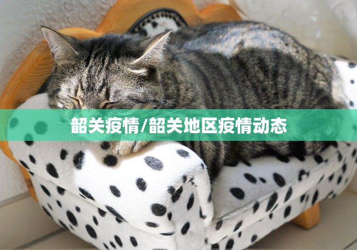 【最新全国中高风险地区名单一览表/最新全国中高风险疫区】 【最新全国中高风险地区名单一览表/最新全国中高风险疫区】