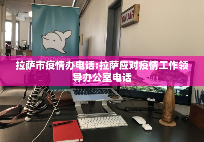 拉萨市疫情办电话:拉萨应对疫情工作领导办公室电话 拉萨市疫情办电话:拉萨应对疫情工作领导办公室电话