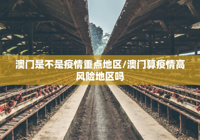 澳门是不是疫情重点地区/澳门算疫情高风险地区吗