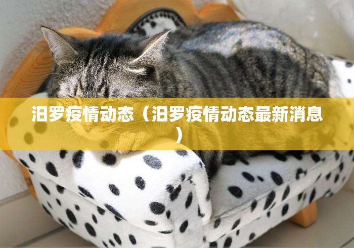 全攻略普及“九酷二厅牛牛房间卡在那购买”详细房卡教程 全攻略普及“九酷二厅牛牛房间卡在那购买”详细房卡教程