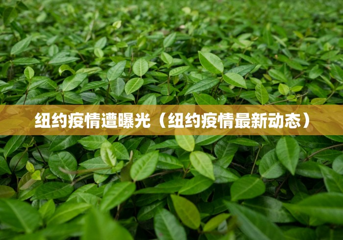 【南昌几月几日开学,江西南昌哪天开学】